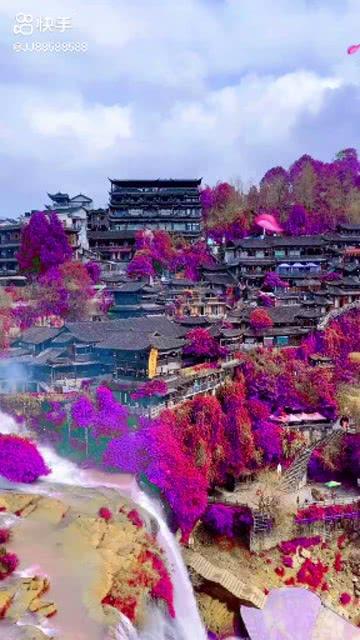 孤岛先锋