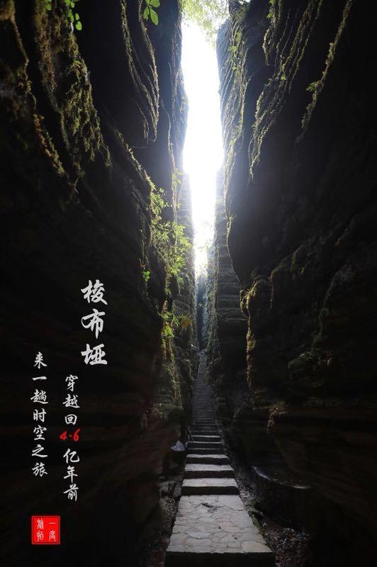 寂静岭5：归乡