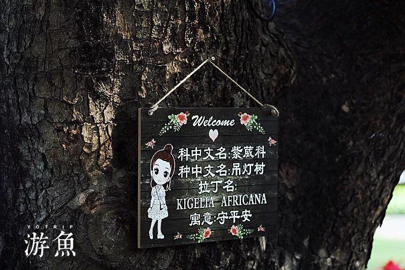 无锡铁路六站联动,110名无锡书法家向旅客送春联,送祝福