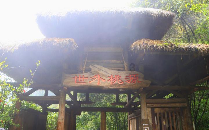 豆娃勇士2
