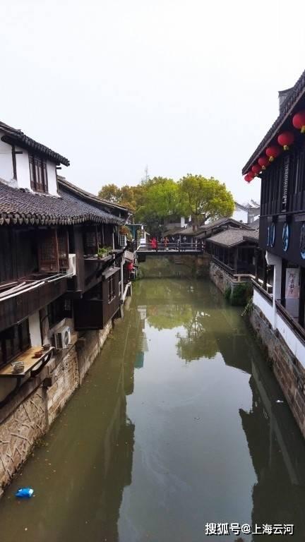泰安市岱岳区委教育工委召开2023年度基层党组织书记全面从严治党述责述廉和抓基层党建工作述职评议会