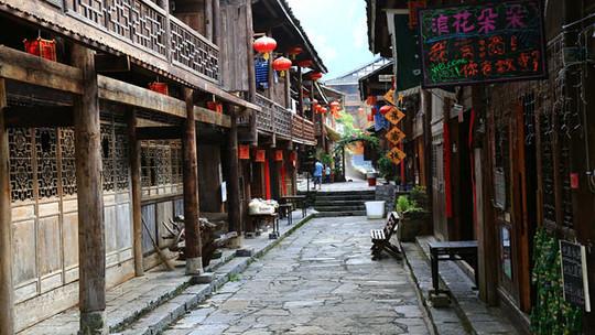 营救小乌龟